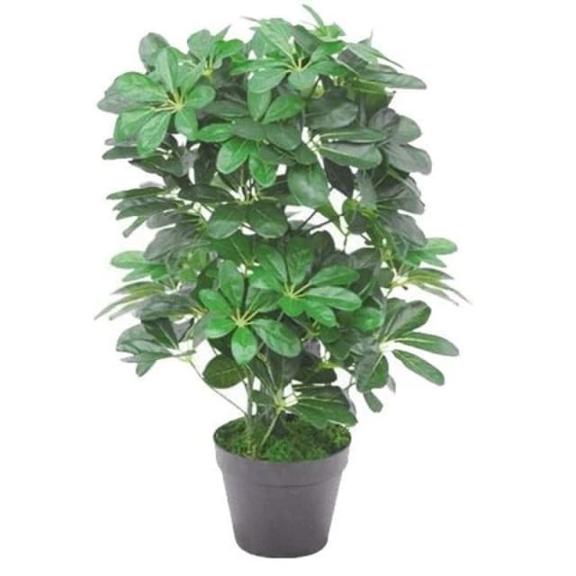 Leaf 55cm Dark Green Artificial Schefflera Arboricola Plant Green
