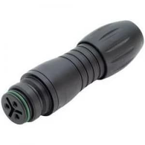 Binder 99 9126 00 08 99 9126 00 08 Series 720 Miniature Circular Connector Nominal current details 2 A Number of pins