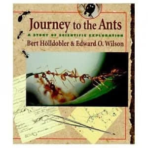 Journey to the Ants by Bert Hlldobler Paperback