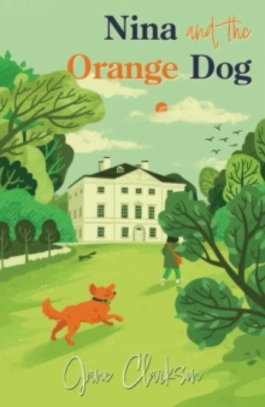 Nina and the Orange Dog Paperback / softback