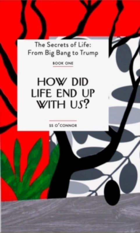 How Did Life End Up With Us? Paperback / softback