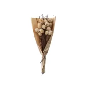 Crossland Grove Dried Thistle Bundle In Paper Wrap Natural H460Mm