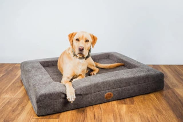 Snug & Cosy Pets Snug And Cosy Orthopaedic Lounger Chocolate 73Cm X 58Cm X 15Cm