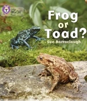 Frog or toad? by Sue Barraclough