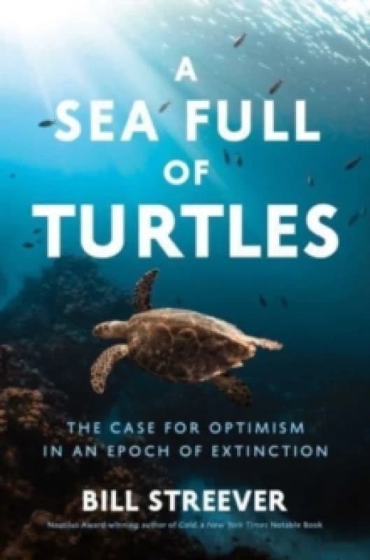 A Sea Full of Turtles : The Search for Optimism in an Epoch of Extinction Hardback