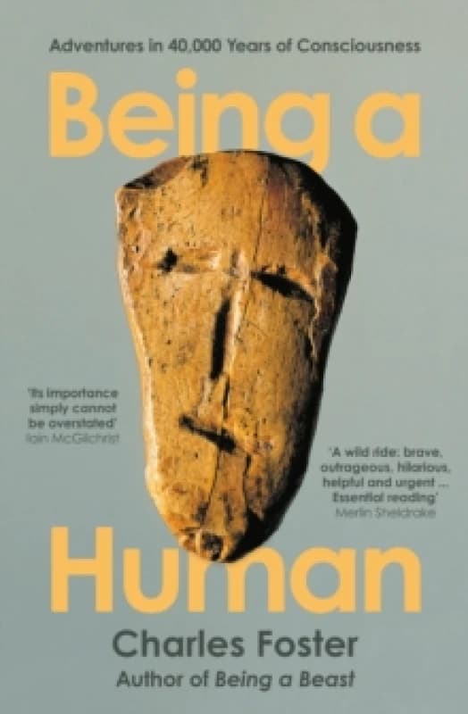 Being a Human : Adventures in 40,000 Years of Consciousness Paperback / softback