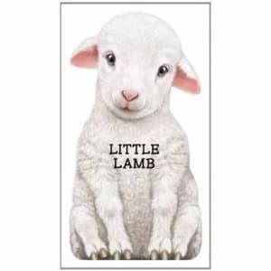 Little Lamb by L. Rigo Book
