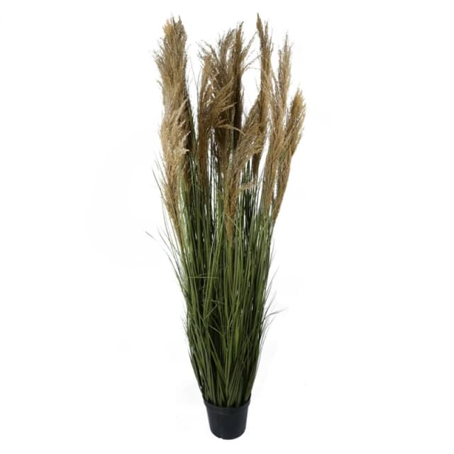 Leaf 180cm Realistic Natural Pampas Grass Plant Green