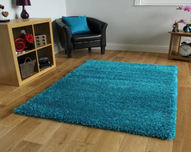 Smart Living Smart Living Soft Fluffy 5cm Thick Pile Shaggy Area Rugs for Living Room, Bedroom in Teal Size: 60cm x 110cm Teal 60cm x 110cm Unisex 0