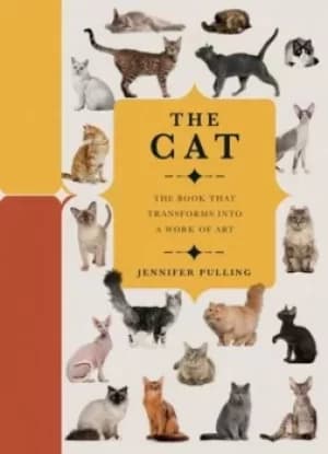 The cat by Jennifer Pulling