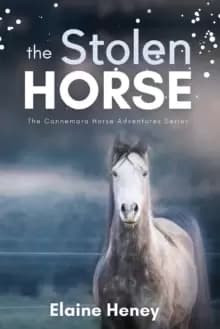 The Stolen Horse : Book 4 in the Connemara Horse Adventure Series for Kids The Perfect Gift for Children age 8-12