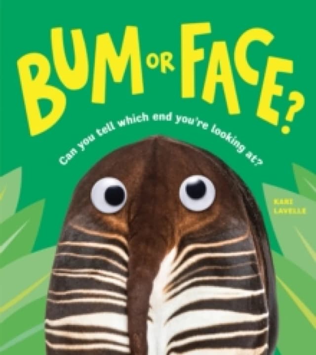 Bum or Face Paperback / softback