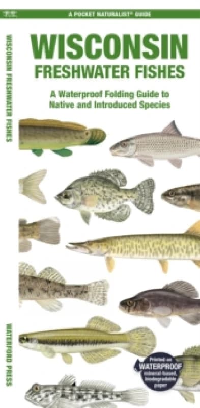 Wisconsin Freshwater Fishes Pamphlet