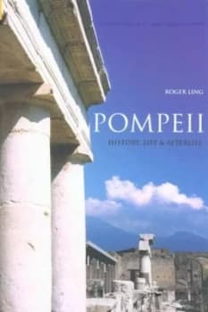 Pompeii by Roger Ling Book