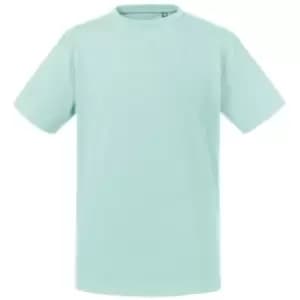 Russell Kids/Childrens Pure Organic T-Shirt (11-12 Years) (Aqua)