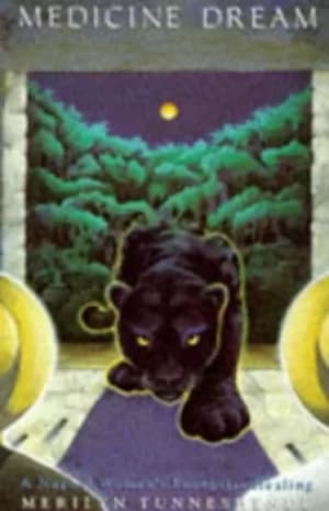 Medicine dream by Merilyn Tunneshende