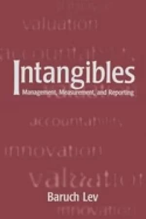 intangibles management measurement and reporting