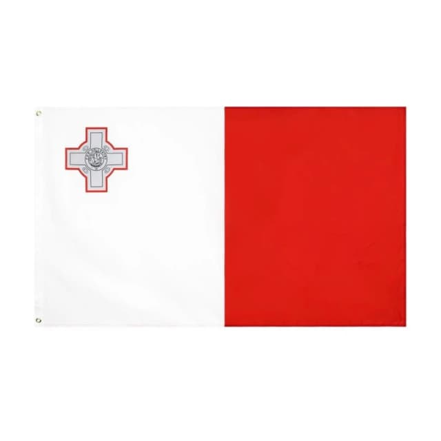 Team Flag - White White One Size