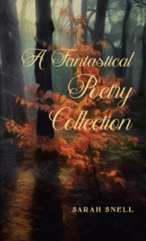 A Fantastical Poetry Collection Paperback / softback