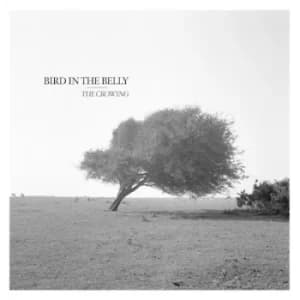 The Crowing by Bird in the Belly CD Album