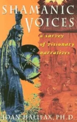 shamanic voices a survey of visionary narratives