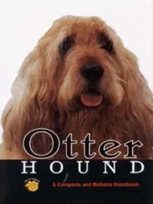 Otterhound by Hugh R Mouat
