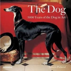 The Dog by Tamsin Pickeral Paperback