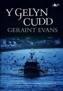Y Gelyn Cudd by Geraint Evans Paperback