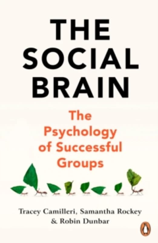 The Social Brain : The Psychology of Successful Groups Paperback / softback