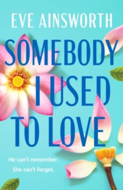 Somebody I Used to Love : The most emotional, unforgettable love story Paperback / softback
