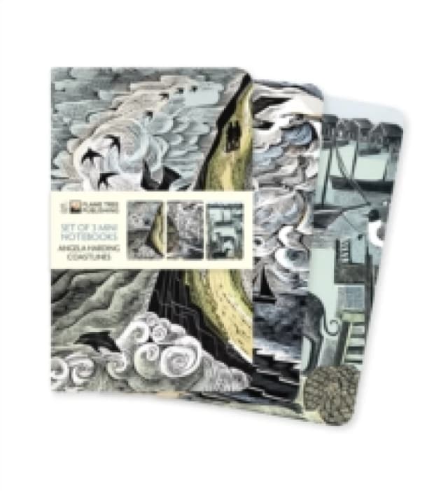 Angela Harding: Coastlines Set of 3 Mini Notebooks Notebook / blank book