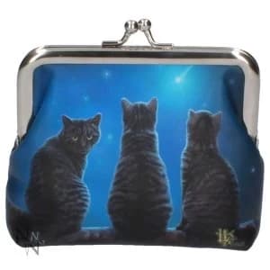 Wish Upon a Star Coin Purse