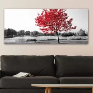 YTY247508341_50120 Multicolor Decorative Canvas Painting