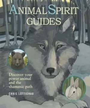 Animal spirit guides by Chris Luttichau