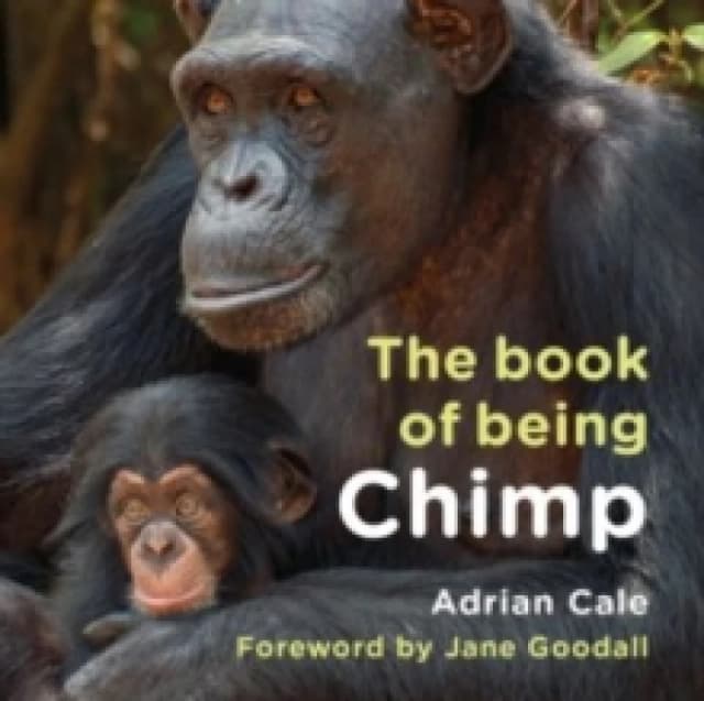 The Book of Being Chimp Hardback