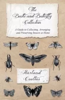 The Beetle and Butterfly Collection - A Guide to Collecting, Arranging and Preserving Insects at Home