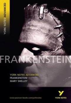 Frankenstein Mary Shelley by Mary Shelley Paperback