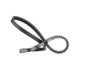 RIDEX V Belt 10C0024 Fenner Belt VW,AUDI,MERCEDES-BENZ,LT 28-35 I Kastenwagen (281-363),LT 28-35 I Bus (281-363)