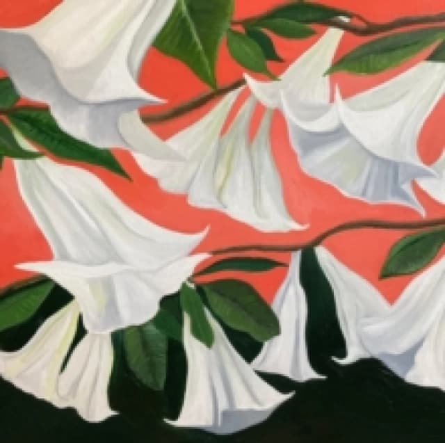 Another Place CD / Album