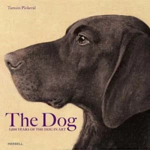 The Dog by Tamsin Pickeral Hardback