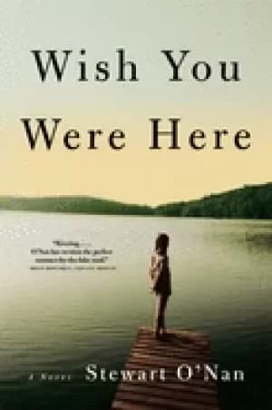 wish you were here a novel