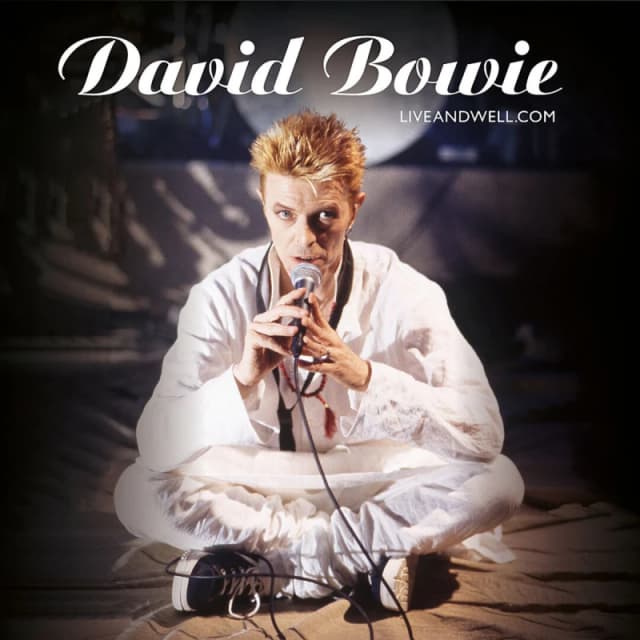 David Bowie David Bowie Liveandwell.com - Limited Edition 2x Vinyl LP in Black One Size Unisex 0190295253196