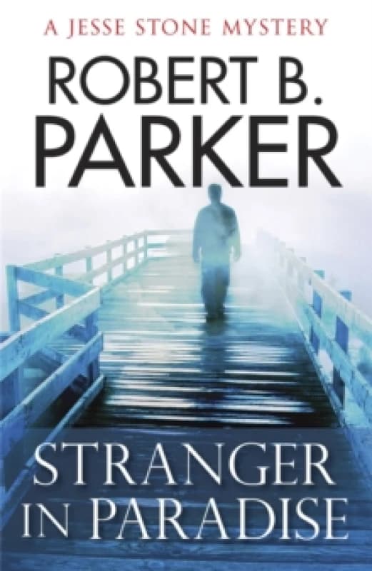 Stranger in Paradise Paperback / softback