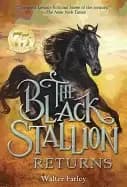black stallion returns