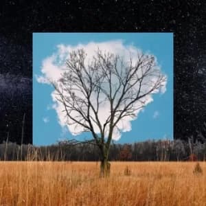 Bloom Innocent by Fink CD Album