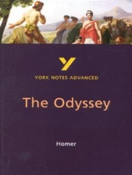 Homer the Odyssey by Robin Sowerby Paperback