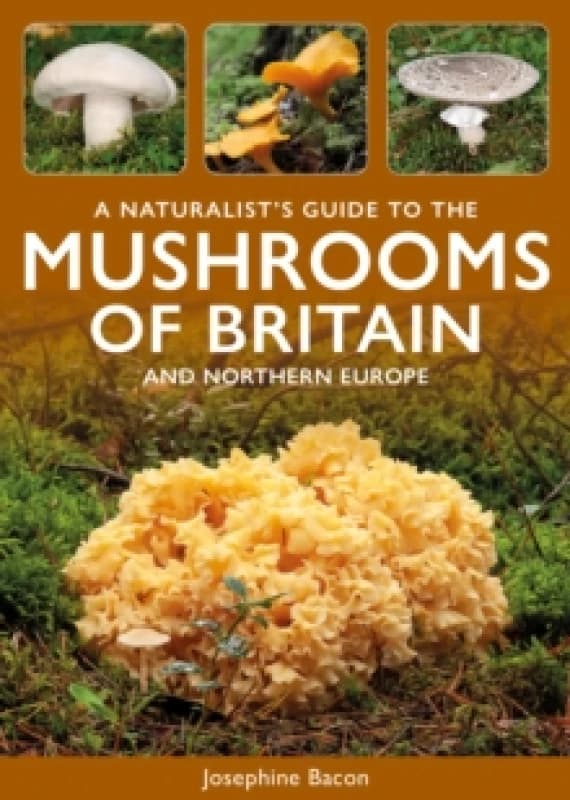 A Naturalist's Guide to the Mushrooms of Britain and Northern Europe Paperback / softback