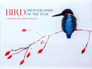 Bird photographer of the year Collection 2 by Robert Read