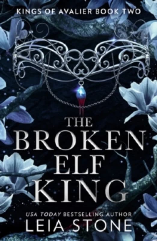 The Broken Elf King. Paperback. By Leia Stone Books