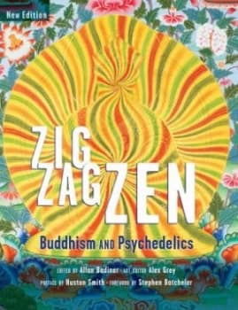 Zig Zag Zen by Alex Grey Paperback